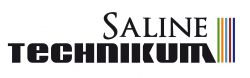 Logo Vision_SalineTechnikum