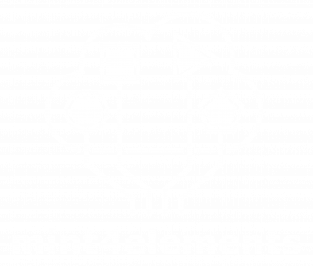 Logo mint4elements