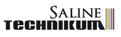 Logo Vision_SalineTechnikum